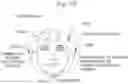 Fig. 131 - KINETIC INTELLIGENT WIRELESS IMPLANT/NEURONS ON AUGMENTED HUMAN