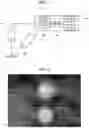 Fig. 02 - Porous particle composite for PCR with heat dissipation function