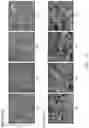 Fig. 06 - COATED ABRASIVE WITH ENHANCED SUPERSIZE COMPOSITION