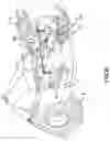 Fig. 07 - Amphibious pumping vehicle
