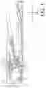 Fig. 02 - Tray swinging mechanism and device including the same