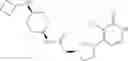 Fig. 1007 - COMPOUNDS AND METHODS FOR CD73 MODULATION AND INDICATIONS THEREFOR