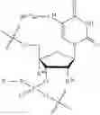 Fig. 167 - OLIGONUCLEOTIDE COMPOSITIONS AND METHODS OF USE THEREOF