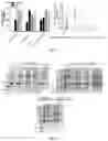 Fig. 03 - MIC-1 COMPOUNDS AND USE THEREOF