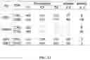 Fig. 13 - Methods of obtaining tumor-specific T cell receptors