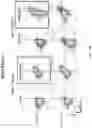 Fig. 21 - Methods of obtaining tumor-specific T cell receptors