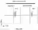 Fig. 26 - Methods of obtaining tumor-specific T cell receptors