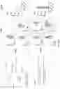 Fig. 33 - Methods of obtaining tumor-specific T cell receptors