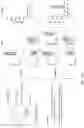 Fig. 41 - Methods of obtaining tumor-specific T cell receptors