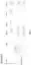 Fig. 80 - Methods of obtaining tumor-specific T cell receptors
