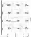 Fig. 85 - Methods of obtaining tumor-specific T cell receptors