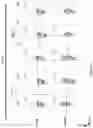 Fig. 91 - Methods of obtaining tumor-specific T cell receptors