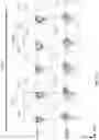 Fig. 92 - Methods of obtaining tumor-specific T cell receptors