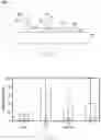 Fig. 09 - ABRASIVE ARTICLES AND METHODS OF FORMING SAME