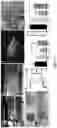 Fig. 02 - MICROELECTRODE ARRAY AND USES THEREOF