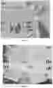 Fig. 06 - MICROELECTRODE ARRAY AND USES THEREOF