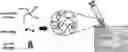 Fig. 01 - DELIVERING ENZYME USING AN INJECTABLE HYDROGEL DEPOT
