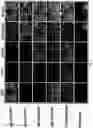Fig. 05 - Optimized plant expression systems