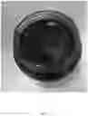 Fig. 03 - Black garlic extract from separated garlic bulbs and preparation method thereof