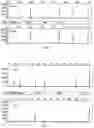 Fig. 06 - COMPOSITIONS AND METHODS FOR DETECTING MUTATIONS IN JAK2 NUCLEIC ACID