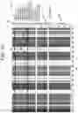 Fig. 41 - RESIDENTIAL ENERGY EFFICIENCY RATING SYSTEM