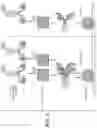 Fig. 02 - SPR-BASED BRIDGING ASSAY FORMAT FOR DETERMINING THE BIOLOGICAL ACTIVITY OF MULTIVALENT, MULTISPECIFIC MOLECULES