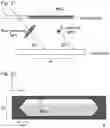 Fig. 14 - Method for manufacturing liquid crystal panel, method for manufacturing retardation plate, and wire grid polarizing plate