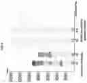 Fig. 05 - Liquid crystal display apparatus