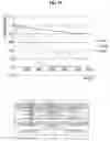 Fig. 14 - Liquid crystal display apparatus