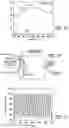 Fig. 08 - ULTRATHIN ELECTROCHROMIC DEVICE FOR HIGH OPTICAL MODULATION