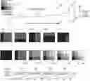 Fig. 01 - Driver for an adaptive light source