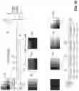 Fig. 10 - Driver for an adaptive light source