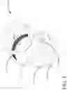 Fig. 04 - Mobile device camera filter