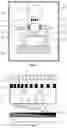Fig. 05 - NEGATIVE REFRACTION IMAGING LITHOGRAPHIC METHOD AND EQUIPMENT
