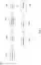 Fig. 02 - METHOD OF FORMING PHOTORESIST PATTERN