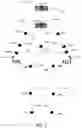 Fig. 06 - Proxy controller suit with optional dual range kinematics