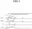 Fig. 06 - Touch display device, touch driving circuit, and touch sensing method