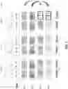 Fig. 05 - Implementing fault tolerant page stripes on low density memory systems
