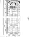 Fig. 08 - Implementing fault tolerant page stripes on low density memory systems