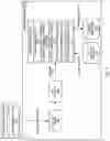 Fig. 05 - Data validation using encode values