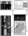 Fig. 19 - Planning system using spatial-based visualization aids