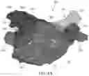 Fig. 05 - Automatic demarcation of anatomical structures