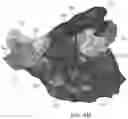 Fig. 06 - Automatic demarcation of anatomical structures