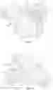 Fig. 09 - Automatic demarcation of anatomical structures