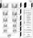 Fig. 01 - Apparatus and method for image segmentation using a deep convolutional neural network with a nested U-structure