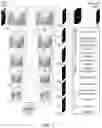Fig. 02 - Apparatus and method for image segmentation using a deep convolutional neural network with a nested U-structure