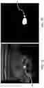 Fig. 08 - Apparatus and method for image segmentation using a deep convolutional neural network with a nested U-structure