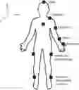 Fig. 01 - Method and apparatus for sport-specific training with captured body motions