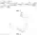 Fig. 02 - Augmented reality method for simulating wireless signal, and apparatus