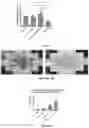 Fig. 09 - USE OF 3D-PRINTED FREESTANDING STRUCTURES FOR EX VIVO TISSUE